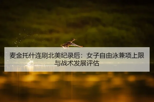 麦金托什连刷北美纪录后：女子自由泳兼项上限与战术发展评估
