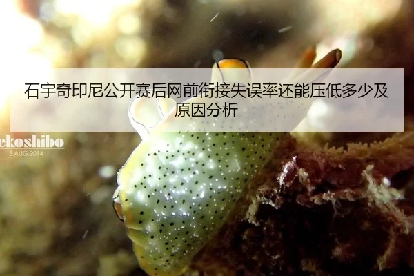 石宇奇印尼公开赛后网前衔接失误率还能压低多少及原因分析