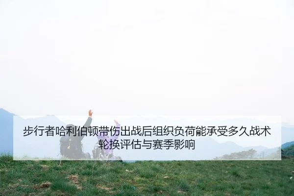 步行者哈利伯顿带伤出战后组织负荷能承受多久战术轮换评估与赛季影响